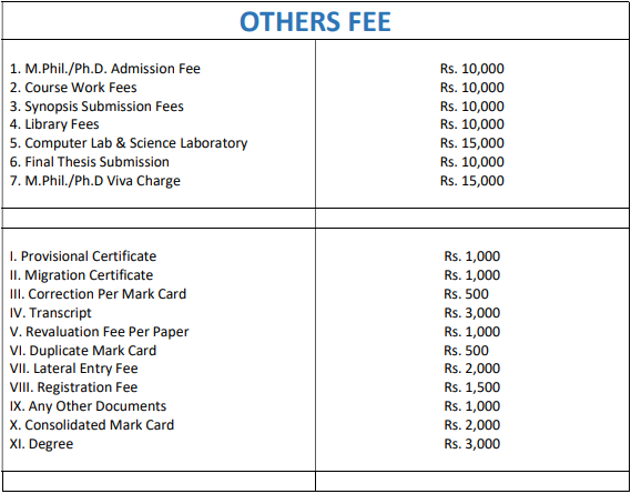 Other Fees